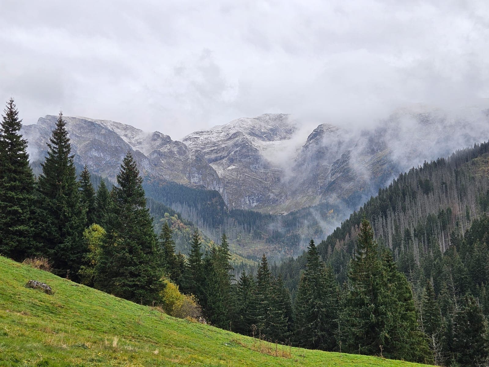 Wycieczka do Doliny Małej Łąki i Przysłop Miętusi