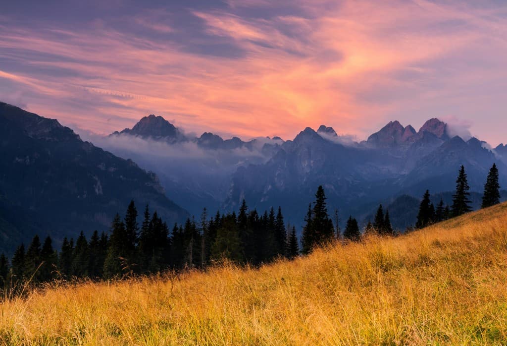 Wycieczka na Rusinową Polanę i Gęsią Szyję